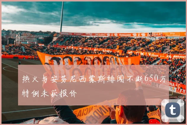 热火与安芬尼西蒙斯绯闻不断650万特例未获报价