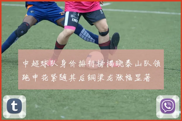 中超球队身价排行榜揭晓泰山队领跑申花紧随其后铜梁龙涨幅显著